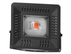 Прожектор ЭРА FITO светодиодный для растений 50W фито FITO-50W-LED BLUERED 4157