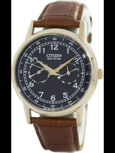 Наручные часы Citizen AO9003-08E