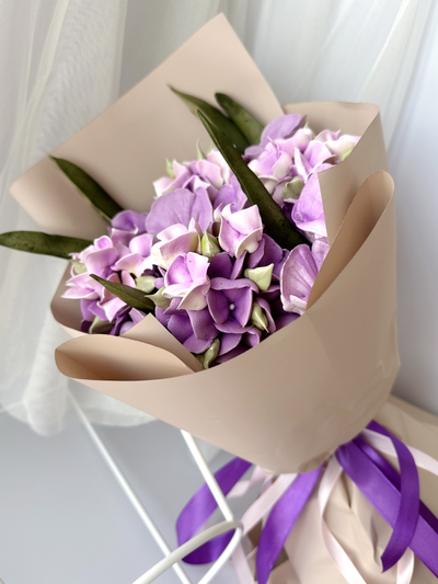 Пурпурная гортензия