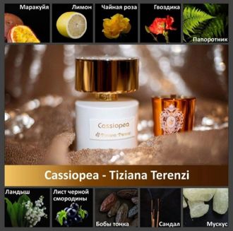 Cassiopea Tiziana Terenzi
