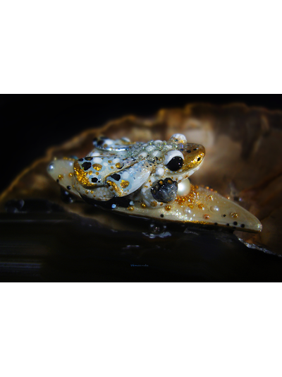 Мини-брошь с жемчугом и крылатой лягушкой &quot;Царская бабочка, Дивная Зоренька&quot;