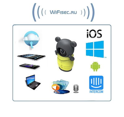 Бюджетная видеоняня /WiFi видеокамера CleverDog Мишка Тедди с DVR (комплект)