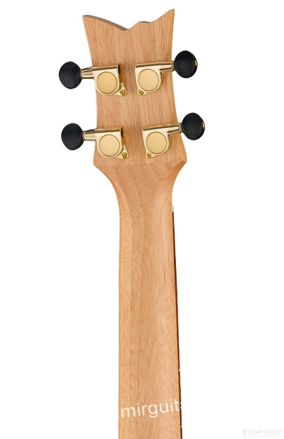 Ortega RUACA-TE (Acacia Series)