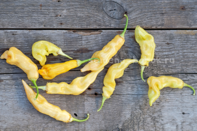 Перец острый Sugar Rush Peach (Шуга Раш Пич), 10 шт