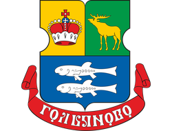 РЕКЛАМА В ЛИФТАХ РАЙОН ГОЛЬЯНОВО