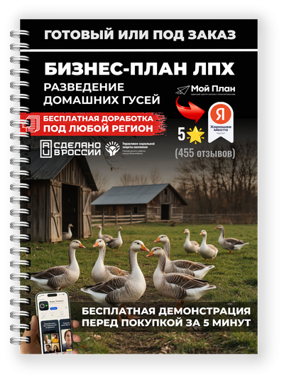 Выращивание клубники