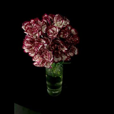 Гвоздика 15 шт