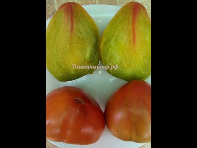 Томат Тайга (Taiga)