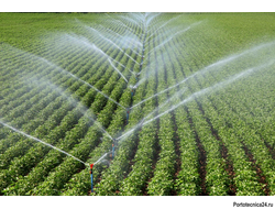 Для Сельского Хозяйства