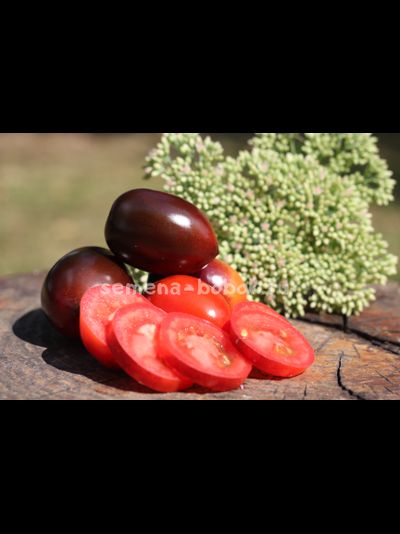 Томат Pascal de Picardie (Паскаль де Пикарди), 10 шт.