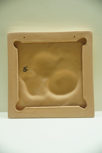 Лук репчатый