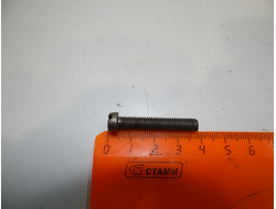 Болт М 6 ( для моторов серии Д)