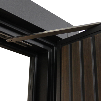 Стальная дверь   Jazz. Заказная модель.