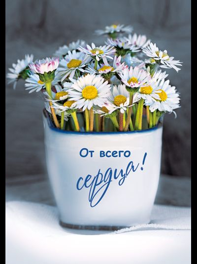 Открытка, От Всего Сердца! (ромашки)