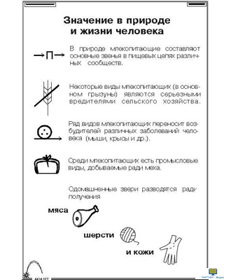 Зоология. Млекопитающие (16 шт), комплект кодотранспарантов (фолий, прозрачных пленок)