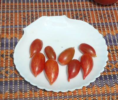 Томат Конфета сладкая сосулька (Candy Sweet Icicle)