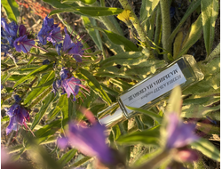 Духи МАЛЬВИНА НА СВОБОДЕ 15 мл