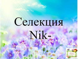 Селекция Nik- Натальи Булко, стандарты (листья срез)