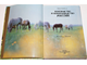 Камбегов Б. Коневодство и коннозаводство России. М.: Росагропромиздат. 1988г.