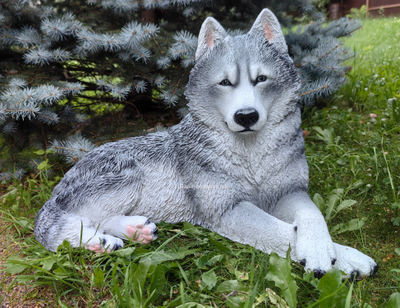 Хаски - садовая фигура 65*44см  6кг   экологичный полистоун Россия  5278/012308 Не боится влаги и перепадов температур.