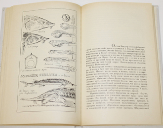 Старикович С.Ф. Они живут не только в заповеднике. Худ. В.Горбатов. М.: Детская литература. 1988г.