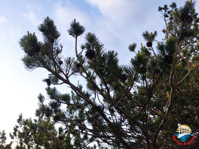 Джип-тур на Долину приведений + закат солнца на вершине горы