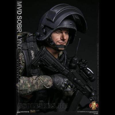 Голова (скульпт) 1/6 (78058) - DAMTOYS