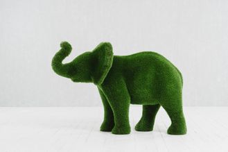 Слон малый