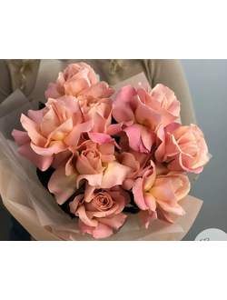 Новозеланские