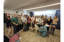 Первая помощь животным (собакам и кошкам)