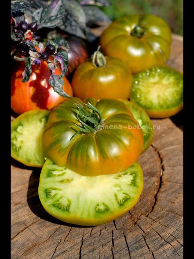 Томат Ярсон 20 (Jarson 20), 10 шт