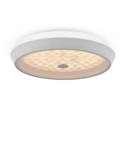 Freya, Потолочный светильник Cells, FR10012CL-L24W