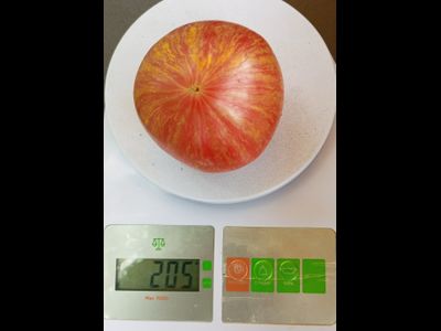 Томат Розовое сердце Пессака полосатое (Coeur Rose de Pessac Stripe )