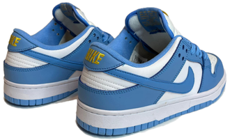 Nike Air Force 1 SB Dunk Low Unc