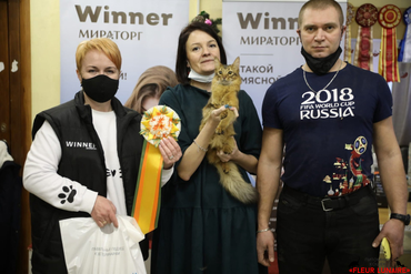 Галактика на выставке кошек 