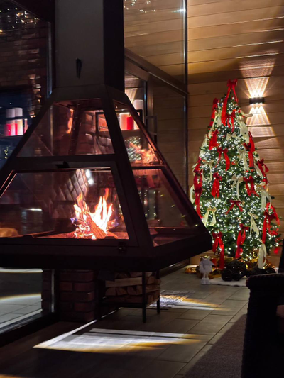 Подвесной камин из стекла и металла FLY