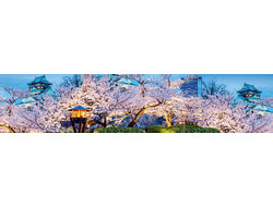 М-05 Матовый кухонный фартук  2800х600х6мм  ALBICO