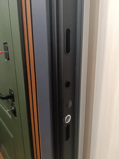 Стальная дверь   Forest (биометрический замок Smart lock R06)