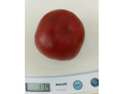 Томат Занавес Маргарет (Margaret Curtain, США)