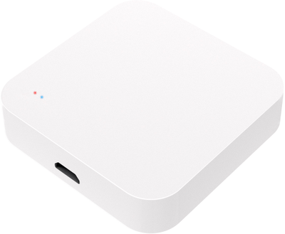 Умный шлюз Zigbee + Bluetooth GWZBT01