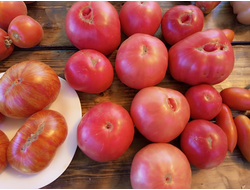 Томат Минусинец