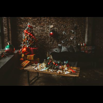 Оформление фотосессии в новогодних оттенках № 1469