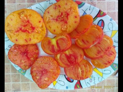 Томат Немецкий полосатый (Striped German)