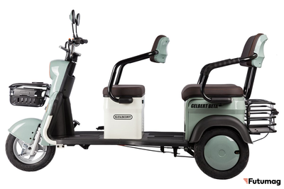 Электротрицикл Rutrike Gelbert Beta 48V/60V 800Вт зелено-белый