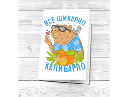 Обложка на паспорт Капибара, Kapibara-san №1