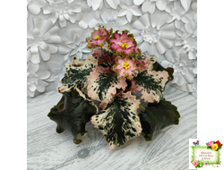 МТ-Пески Времени (М. Тотиева) 2022 г.