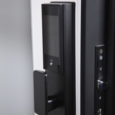 Стальная дверь   Берилл с зеркалом (биометрический замок DZ 888). Заказная модель.