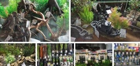 Купить аквариум в СПб недорого, цены на аквариумы в магазине ...