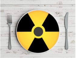 Тарелка Stalker/ Сталкер №6