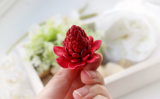 ЦВЕТОК ИМБИРЯ